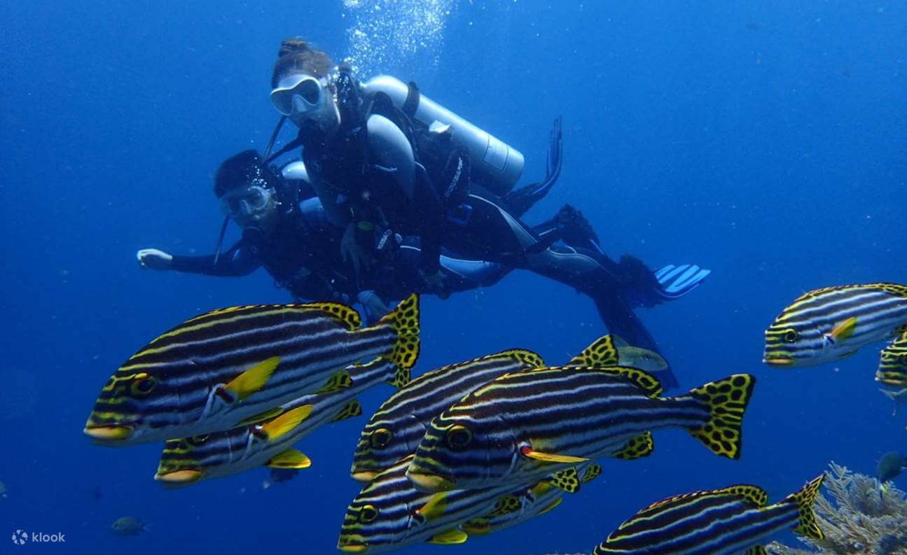 Bali Scuba Diving