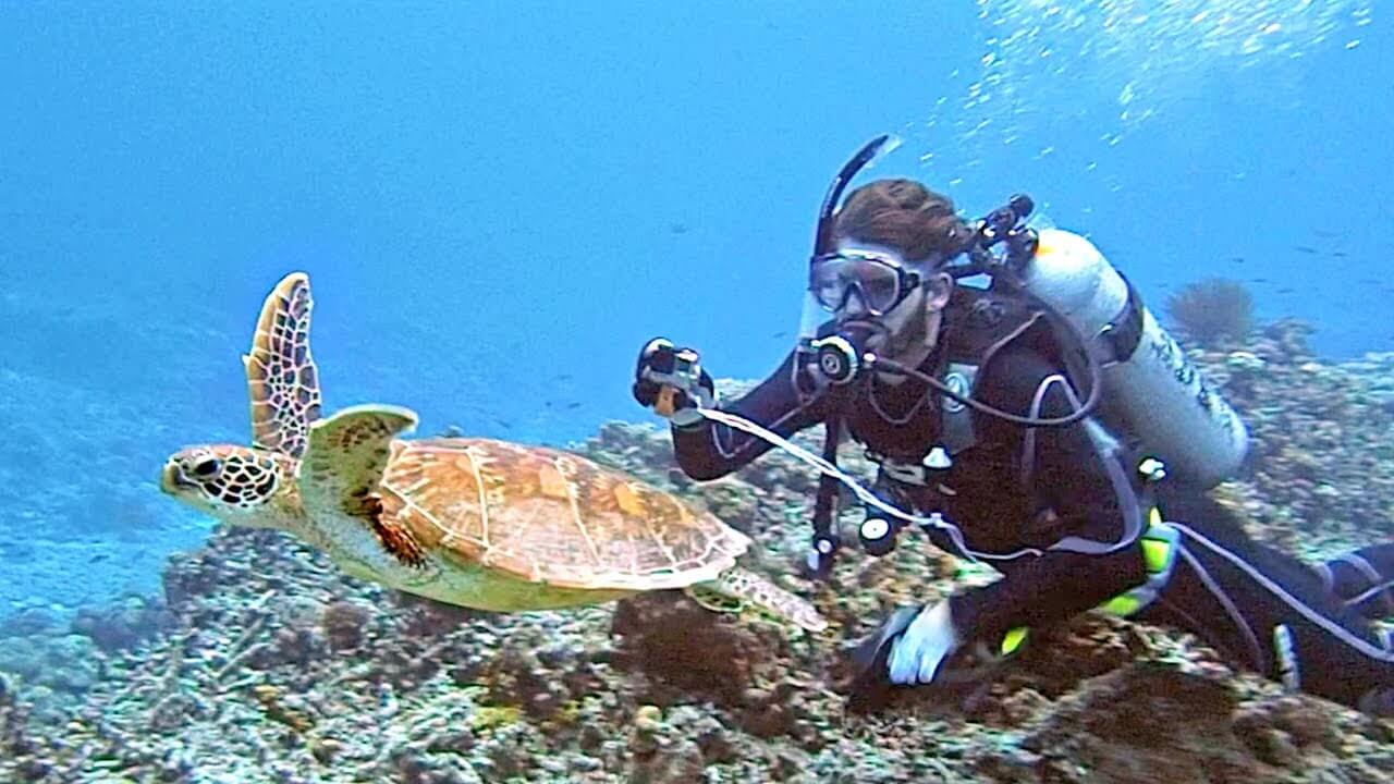 Scuba Diving